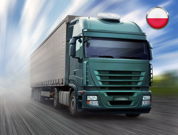 Доставка сборных грузов из Польши в Россию Cargo 8.